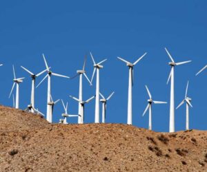 Saudi Group Set to Build 10-GW Wind Farm in Egypt