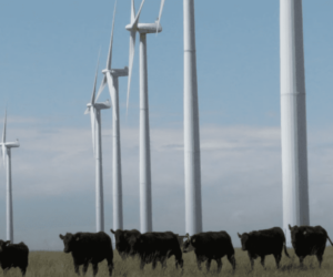 The POWER Interview: Harnessing the Energy Potential of American Agriculture
