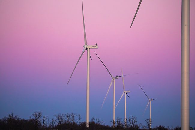 A Symbol of Courage and Invincibility: DTEK Completes Wind Farm Despite War
