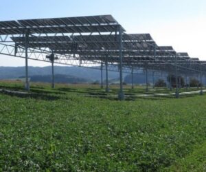 The POWER Interview: Agrivoltaics, and Connecting More Renewable Energy to the Grid