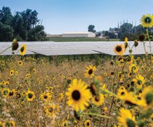 Community Solar Projects Bring Renewable Energy to the Masses