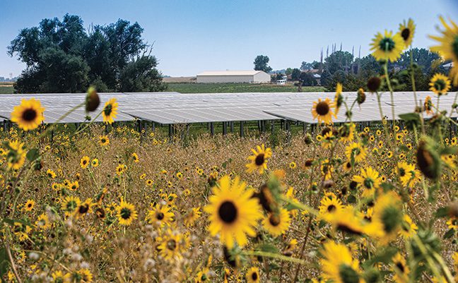 Community Solar Projects Bring Renewable Energy to the Masses