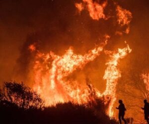How PG&E Is Reducing Wildfire Risks Using Satellite Imagery