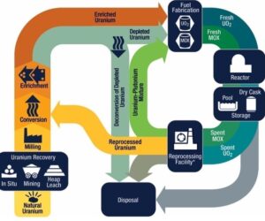 Six Companies Tapped for $2.7 Billion LEU Push to Boost Domestic Nuclear Fuel Supply