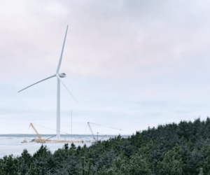 Vestas Will Supply Turbines for 1.1-GW Scottish Offshore Wind Project