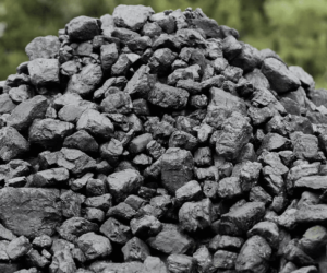 U.S. Coal Plants Get Reprieve as Market and Policies Change