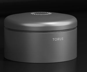 Rocky Mountain Power, Torus Will Deploy Grid-Scale Energy Storage Program