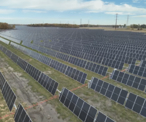 Bechtel Will Build Major Solar and Storage Project in Texas