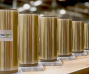 Versogen, InSolare Energy Will Advance Electrolyzer Tech in India